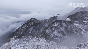 效仿泰山队,泰山队球迷组织连续18年登泰山,山顶体感温度零下 - 资讯配图