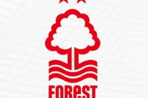 TA：一个老板的两支球队不能同时参加欧冠，森林队已采取规避措施 - 资讯配图