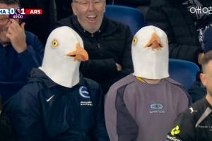 今天有两只!布莱顿vs阿森纳的看台上出现两位球迷带着海鸥头套 - 资讯配图