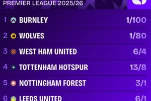 本赛季英超降级赔率排名：伯恩利居首，狼队次席，热刺第四 - 资讯配图