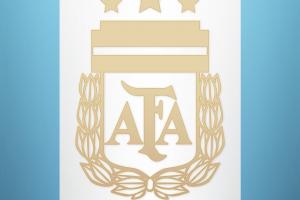 阿根廷官博：3月12日代表将到北京，办出征世界杯（中国）发布会 - 资讯配图