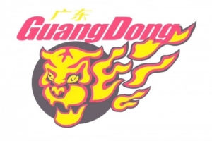 媒体人:广东队冠名由广东宏远东阳光改为广东东莞宏远东阳光 - 资讯配图