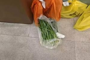 重庆铜梁龙中超主场首战票价引发球迷不满，网传球队门口被寄韭菜 - 资讯配图