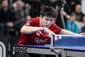 王励勤谈樊振东:非常希望他能够为国征战,我们也在做一些沟通 - 资讯配图