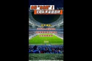 “东北超”沈阳队以辽宁铁人梯队球员为主体，并采取多渠道选材 - 资讯配图