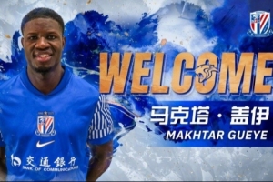 记者:盖伊、米内罗、李可未随申花队出征杭州,盖伊训练中拉伤 - 资讯配图