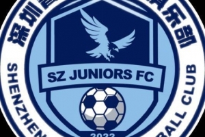 深圳青年人总经理：希望如大家愿，明年有中超深圳德比 - 资讯配图