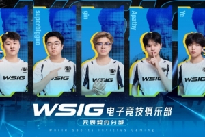 WSIG无畏契约大名单：M1ng929、superbigguo、gin、Apathy、Ye - 资讯配图
