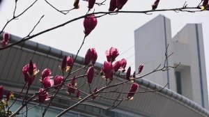 2026中超联赛第2轮 浙江俱乐部1-1上海申花 Match Day比赛日纪实 - 资讯配图