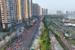 清远马拉松一选手倒地送医后离世,官方:具体细节仍在调查中 - 资讯配图