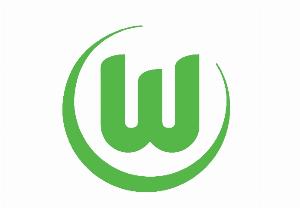 大众CEO:沃尔夫斯堡对城市和人民有巨大凝聚力 降级也会继续支持 - 资讯配图