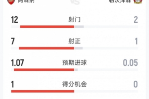 阿森纳1-0勒沃库森半场数据:射门12-2,射正7-1,得分机会1-0 - 资讯配图