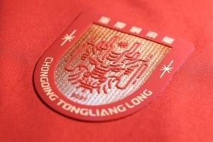 重庆铜梁龙官方:3月20日增补铜梁龙vs蓉城球票 - 资讯配图