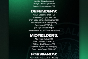 尼日利亚大名单:卢克曼、伊沃比、恩迪迪入选,奥斯梅恩缺席 - 资讯配图