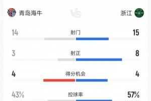 海牛1-4浙江数据：射门14-15，射正3-8，得分机会4-4，犯规17-17 - 资讯配图