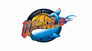 追平宁波&活塞~四川单赛季28连败追平CBA和NBA历史纪录 - 资讯配图