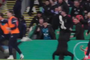 兴奋过头！曼城进球后助教图雷一头栽进球场，福登看了一眼没管 - 资讯配图