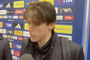 帕莱斯特拉：加图索教练让我感到自在 我们知道去世界杯至关重要 - 资讯配图