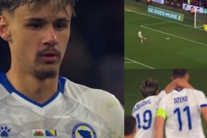 波黑小将:现在我们将回到主场作战,意大利会感到恐惧 - 资讯配图