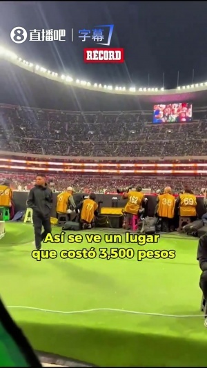 票1335人民币!墨西哥球迷吐槽:前排啥也看不见,跟球场一个平面 - 资讯配图