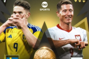 瑞典足协发言人：对阵波兰的门票已售罄，正寻求释放更多门票 - 资讯配图