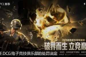 线上窥屏？PCL处罚DCG：取消26PCL春季赛参赛资格 1nsect禁赛一年 - 资讯配图